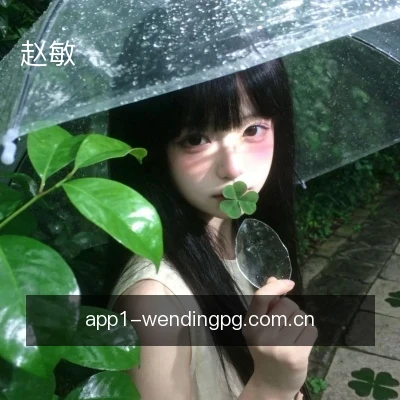 赵敏
